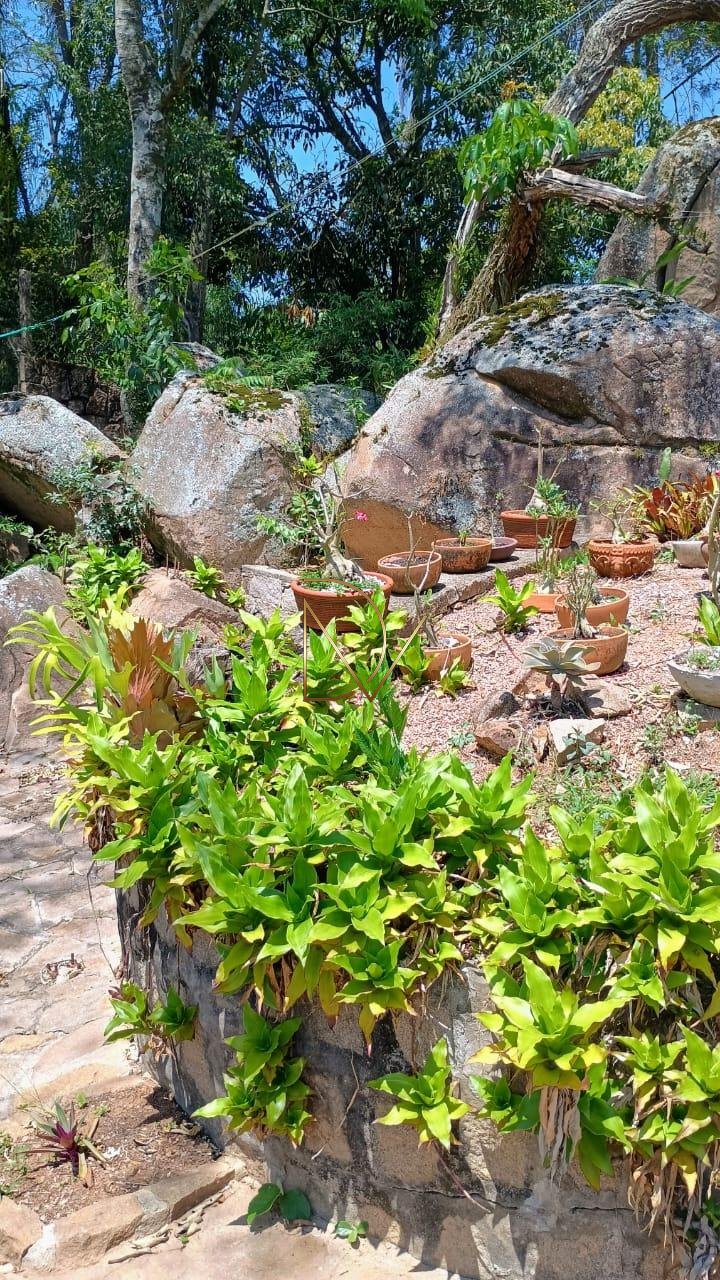 Rural à venda com 2500m² de terreno no Lopes, Valinhos (SP) — foto 3 de 30