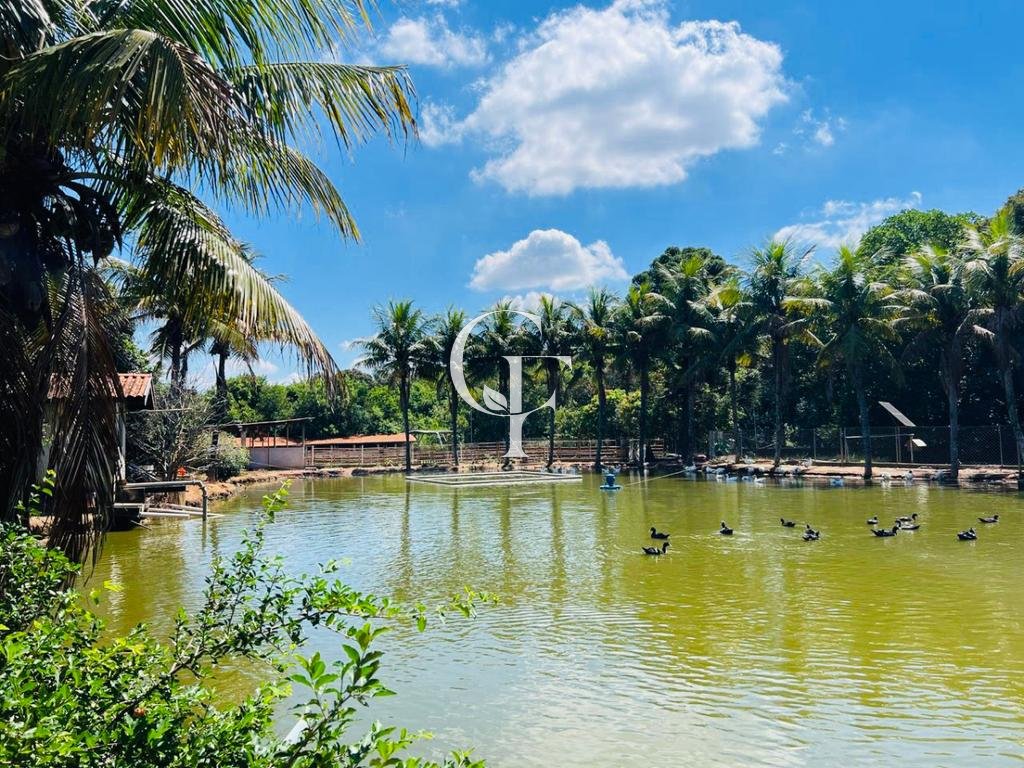 Chácara à venda em Valinhos, Macuco, com 4 quartos, com 22000 m²