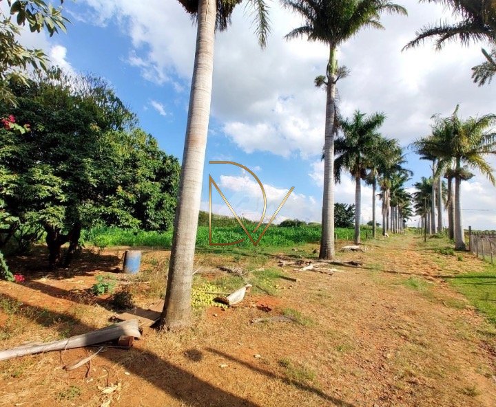 Terreno à venda com 65835m² de terreno no Chácara São Rafael, Campinas (SP) — foto 9 de 9