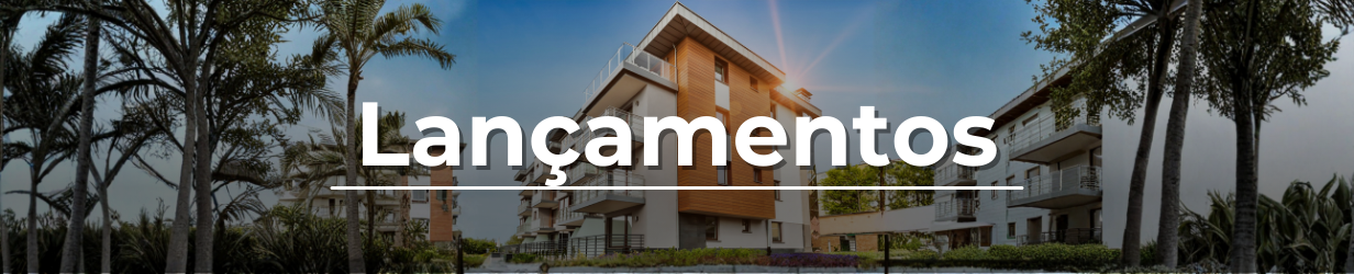 Banner lançamento