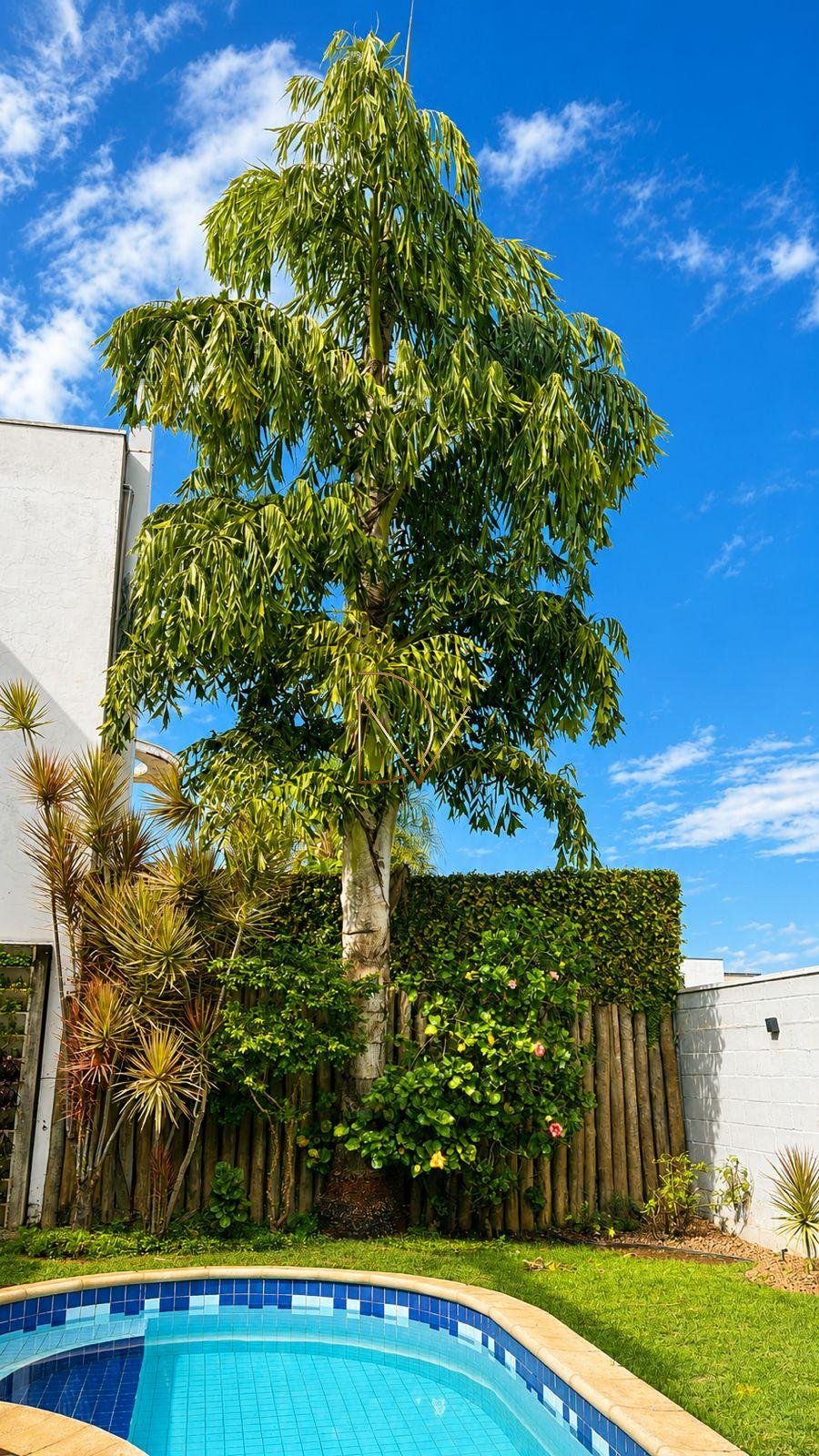 Casa à venda com 3 quartos, 2 suítes e 273m² no Swiss Park, Campinas (SP) — foto 29 de 30